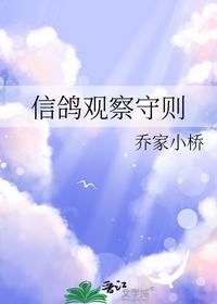 信鸽观察守则