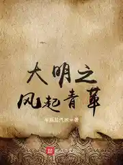 大明之风起青苹